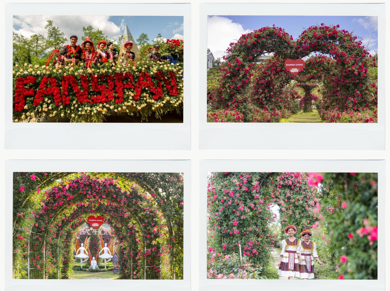 Thung lũng hoa hồng với những giống hoa quý từ khắp nơi trên thế giới nở rộ trong gam màu đỏ, hồng, vàng, tím.