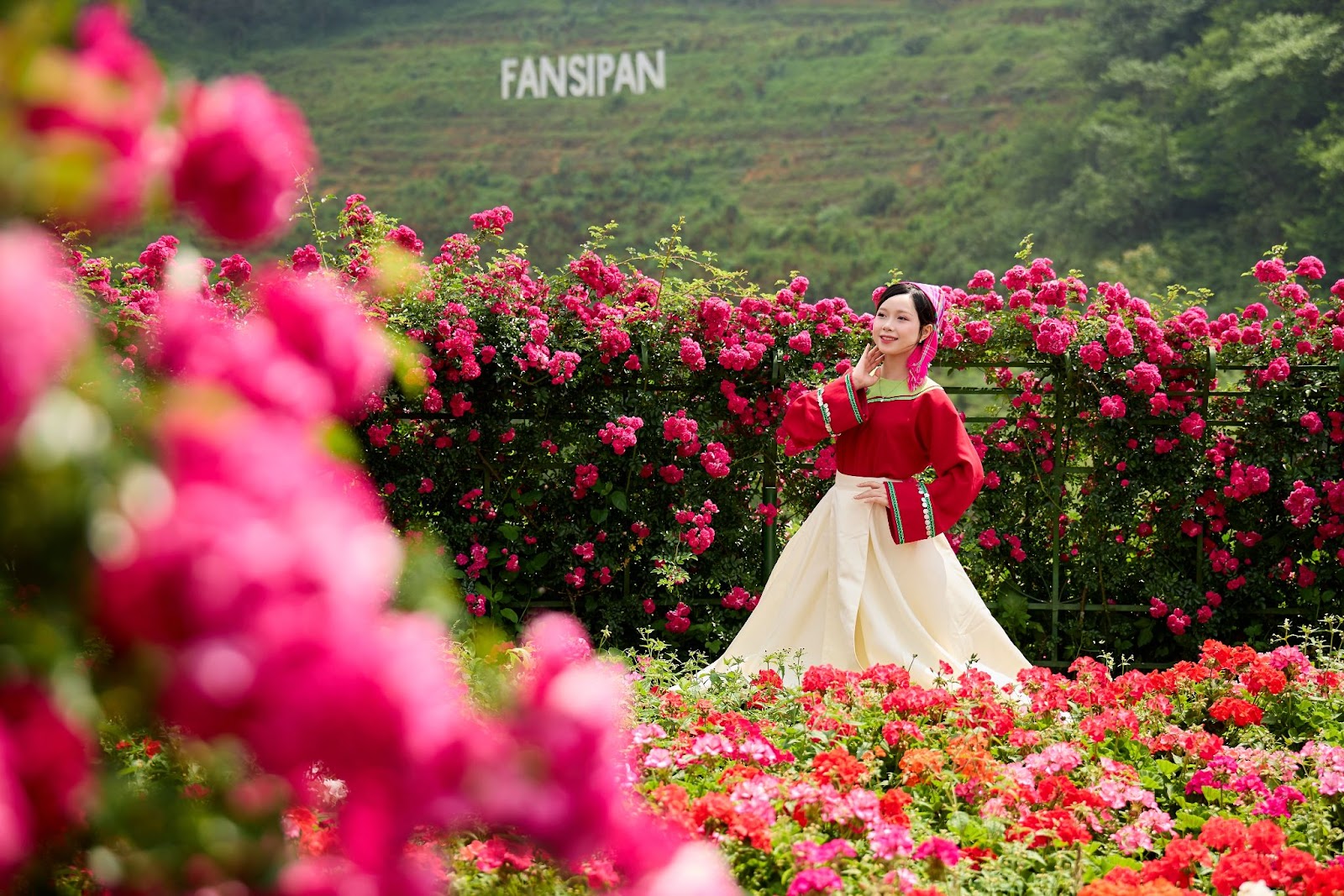 Check-in bên những tiểu cảnh hoa hồng khổng lồ tại Lễ hội.