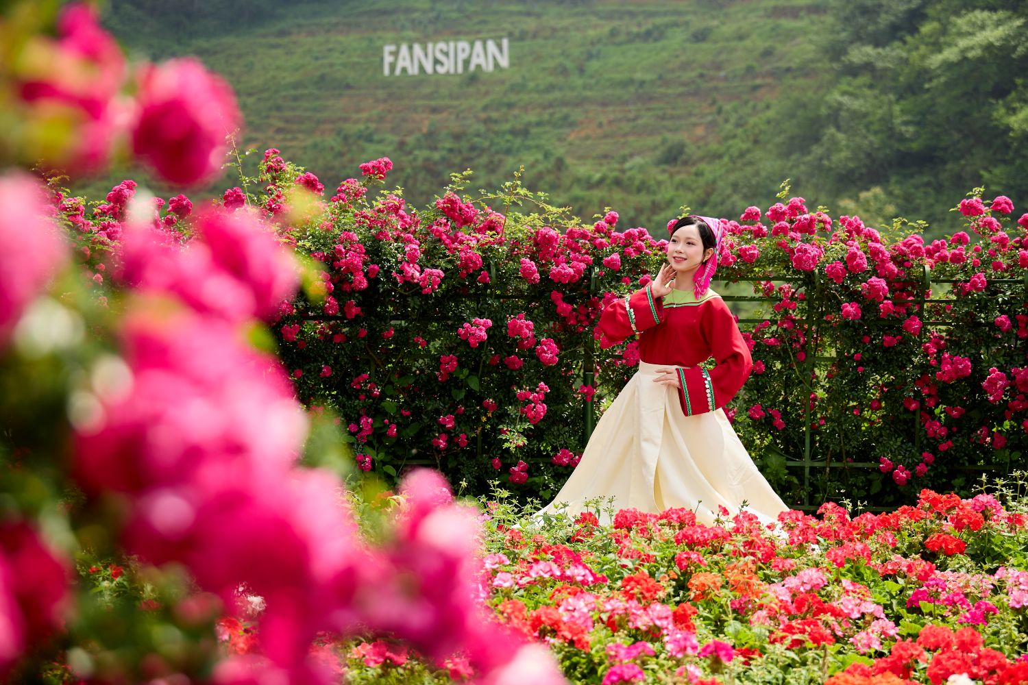 Lễ hội Hoa Hồng rực rỡ tại Sun World Fansipan Legend vào tháng 4