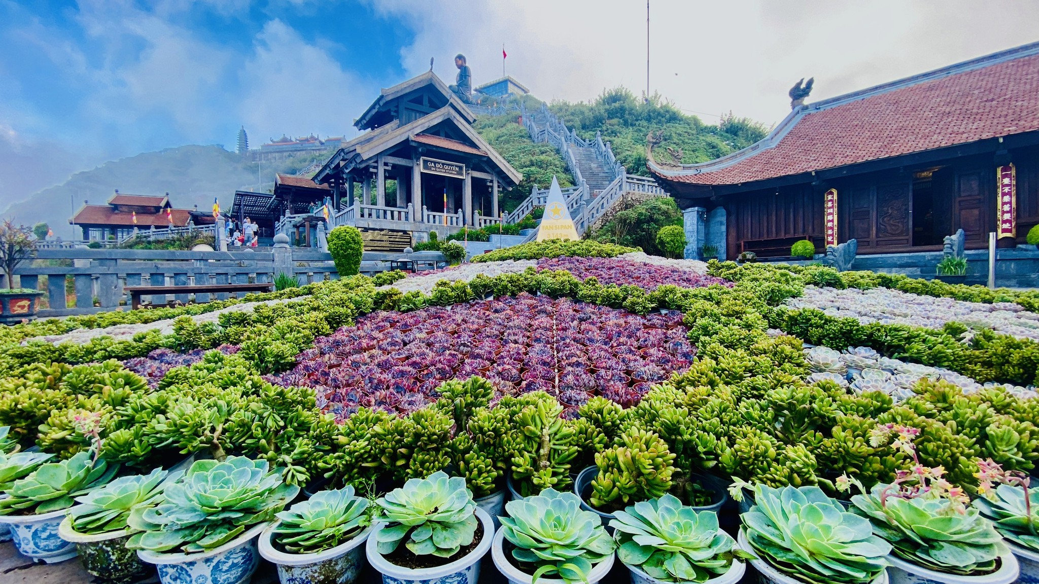 Gần 60 loài sen đá được trưng bày và trang trí tại Sun World Fansipan Legend