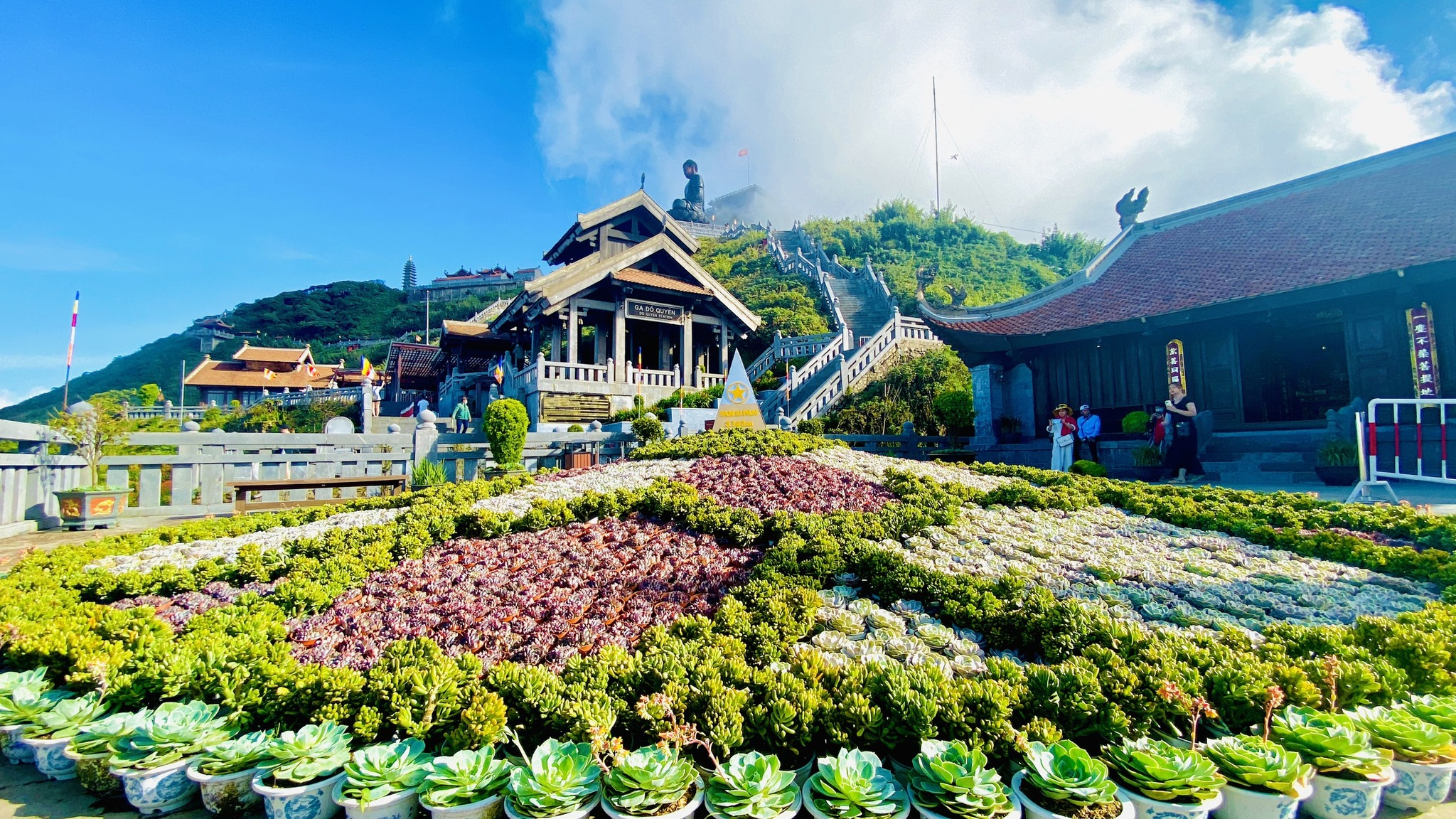 Không gian hoa sen đá tại Sun World Fansipan Legend