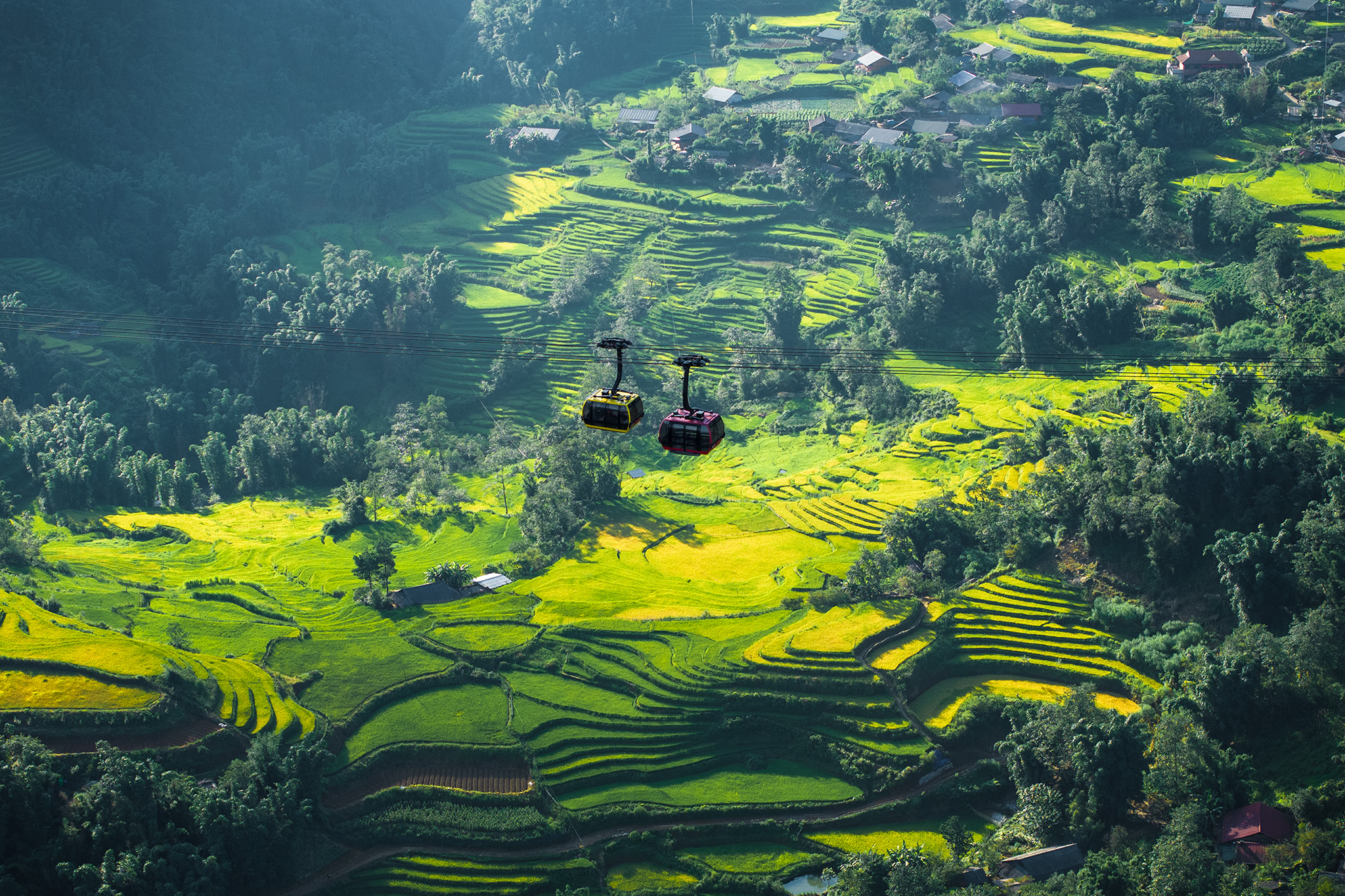 The Fansipan cable car glides over the breathtaking golden terraced fields of the poetic Muong Hoa Valley
