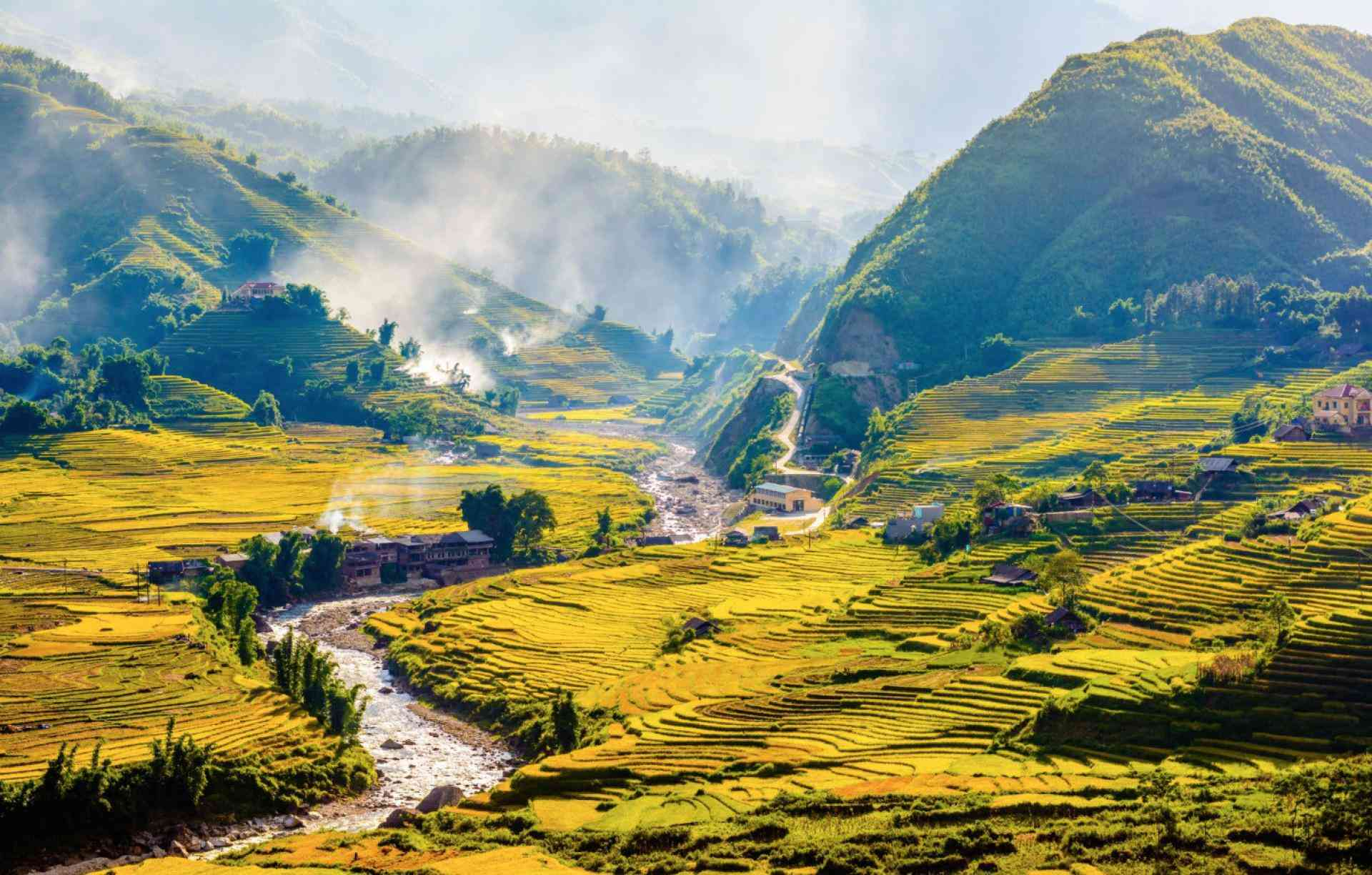 Thung lũng Mường Hoa nổi bật với những thửa ruộng bậc thang trải dài giữa núi rừng Sa Pa. (Nguồn: Sưu tầm)