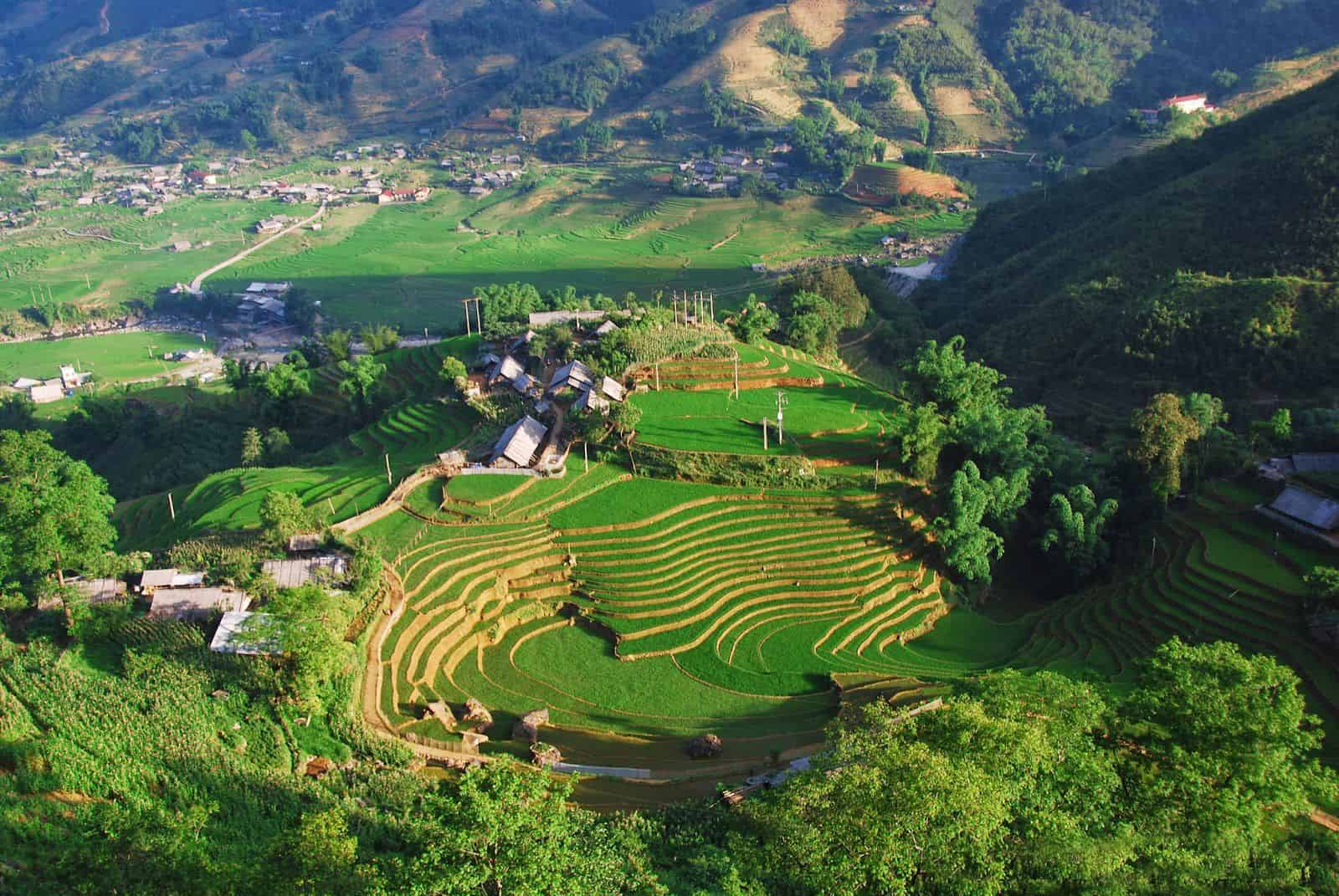 Bản Tả Van nằm giữa thung lũng Mường Hoa với những thửa ruộng bậc thang và núi rừng bao quanh. (Nguồn: Sưu tầm)