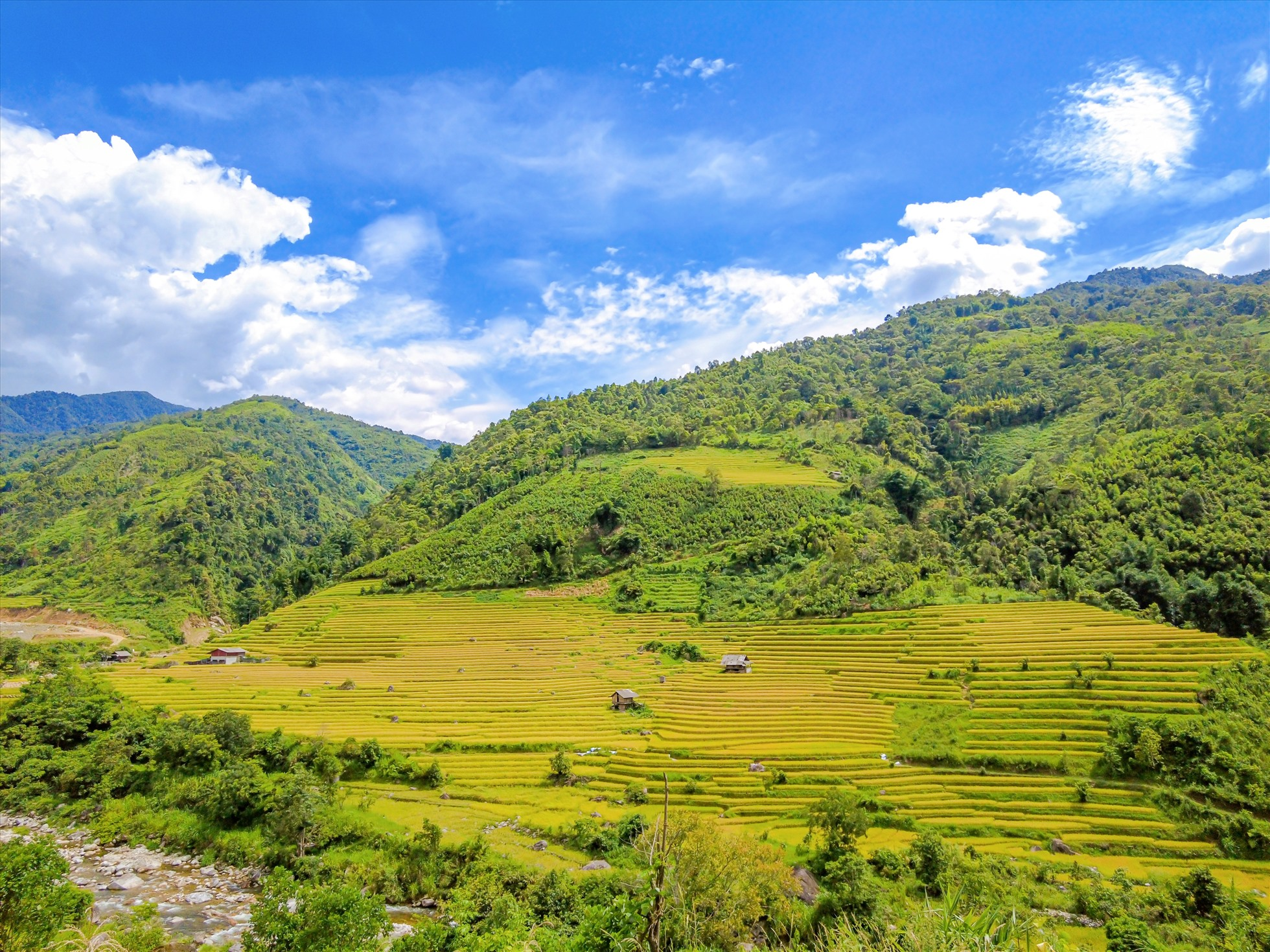 Khi tiết trời thu vừa chớm se lạnh, những thửa ruộng bậc thang ở Sa Pa cũng bắt đầu chín rộ, phủ sắc vàng óng trên các triền núi. (Nguồn: Sưu tầm)