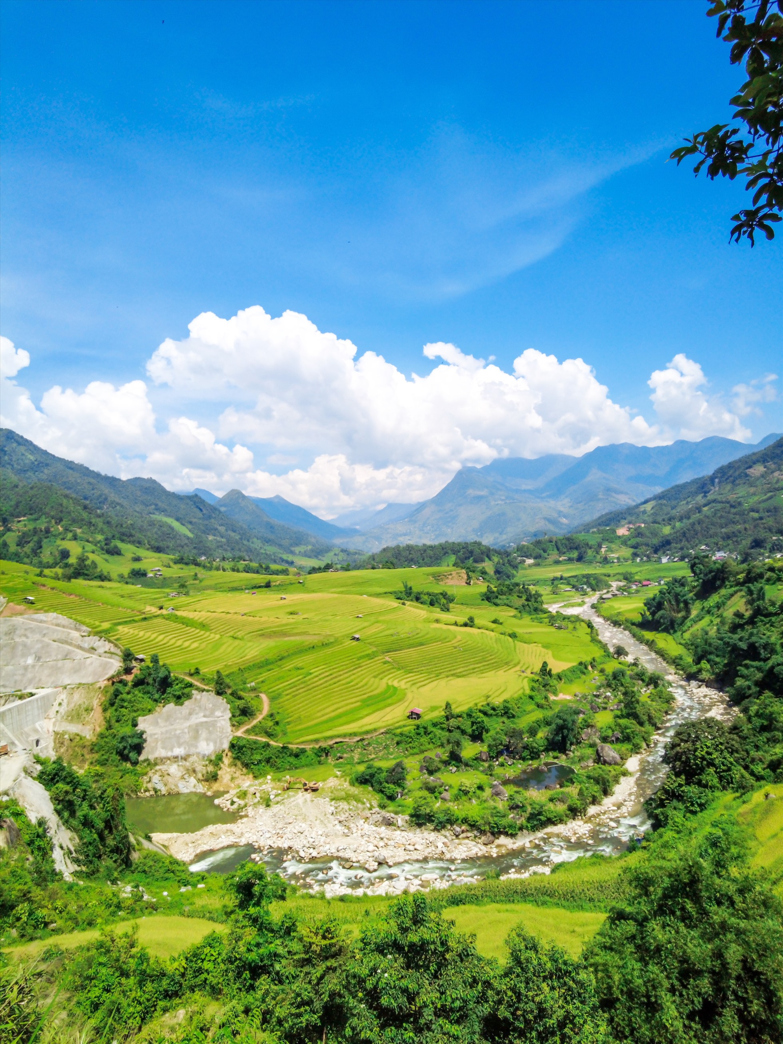 Những ruộng bậc thang chín vàng óng bên dòng suối Mường Hoa hiền hoà. (Nguồn: Sưu tầm)