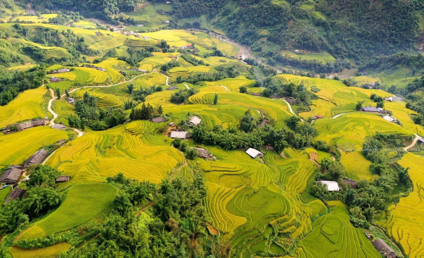 Mùa lúa chín nhuộm vàng những thửa ruộng bậc thang tại thung lũng Mường Hoa, tạo nên khung cảnh đặc trưng của Sa Pa mỗi độ thu về. (Nguồn: Sưu tầm)