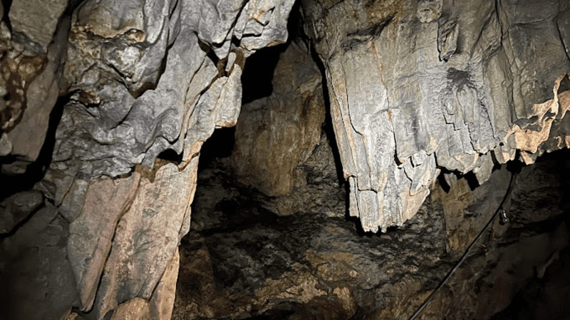 Những cột đá nhũ thạch rũ xuống từ trần hang