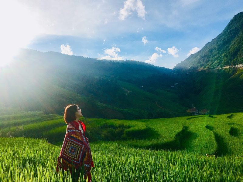 Thỏa thích chụp ảnh check-in giữa ruộng đồng xanh mướt