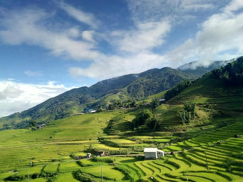 Khung cảnh bản Tả Phìn