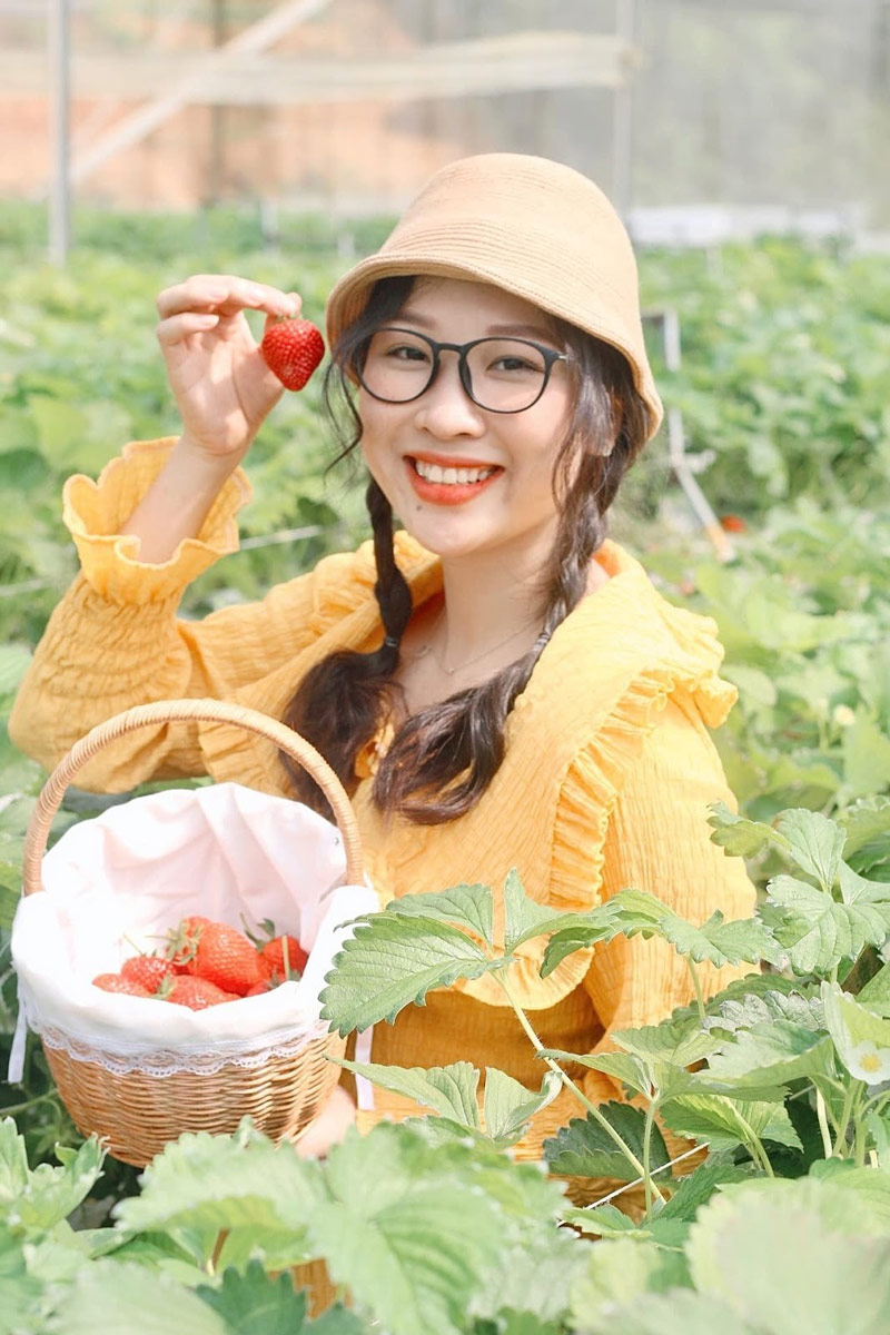 Tự tin thả dáng “sống ảo” tại vườn dâu Tả Phìn