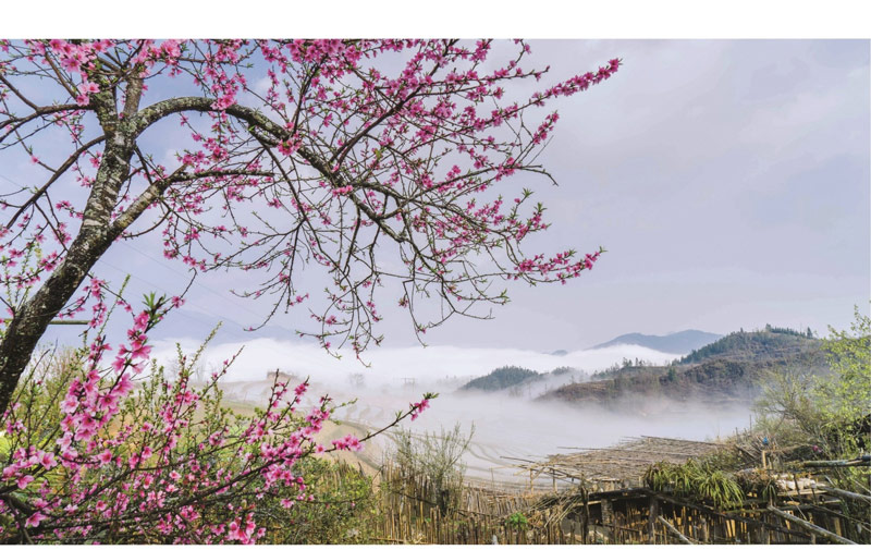 Bản Tả Van mờ sương vào sớm đầu xuân 