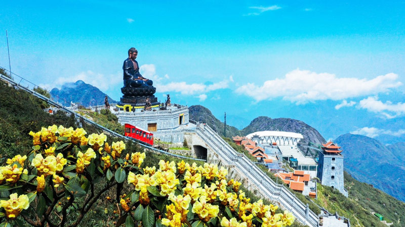 Du khách có thể ngắm nhìn hoa đỗ quyên nở rộ khi đi cáp trên lên khu vực đỉnh Fansipan 