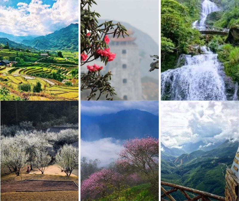 Tổng hợp những địa điểm Sa Pa mùa xuân