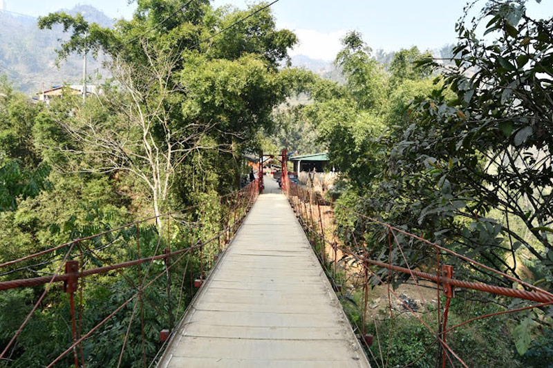 Cây cầu như vẽ ra một đường thẳng tắp giữa sắc xanh rừng già