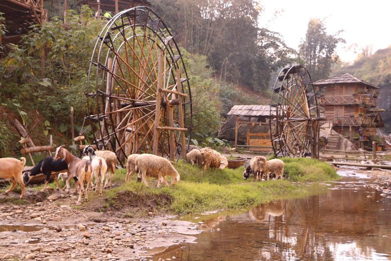 Chụp ảnh bản Cát Cát sẽ không thể thiếu được hình ảnh của con nước