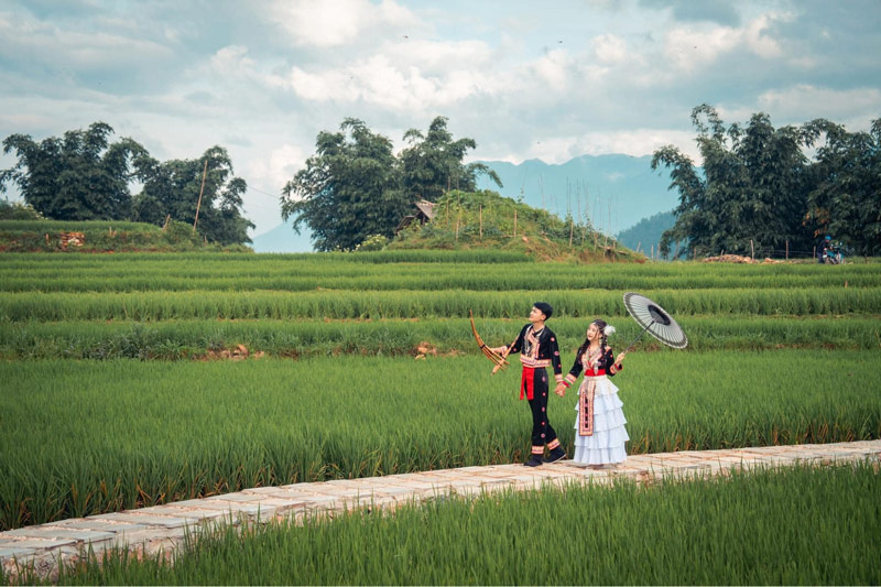 Cặp đôi trẻ mặc trang phục bản Cát Cát chụp ảnh bên thửa ruộng bậc thang xanh rì