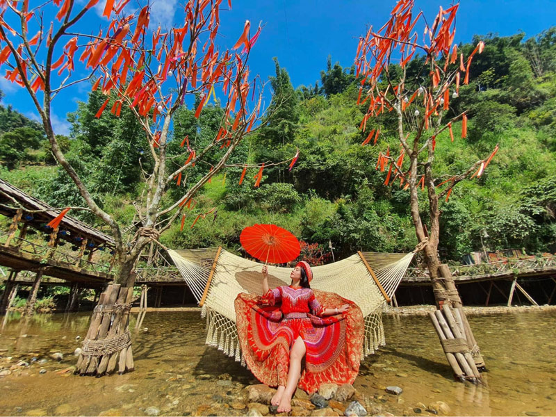 Bạn có thể hương góc máy ảnh từ dưới lên trên để chụp được khu rừng dưới chân đồi