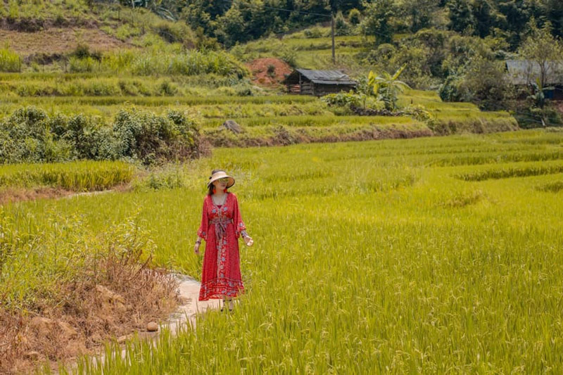 Khung cảnh đồng quê yên bình hiện lên trong bức ảnh của du khách