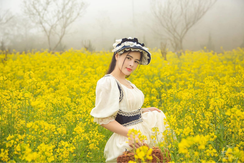 Du khách hoá thành nàng thơ tại vườn hoa cải mèo với váy voan và phụ kiện đội đầu cổ điển