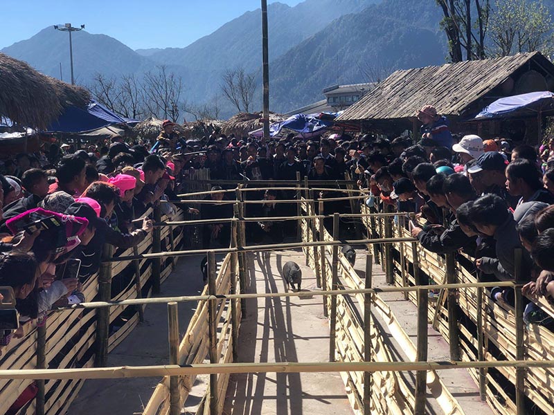 Du khách trải nghiệm các trò chơi dân gian thú vị trong lễ hội hoa đỗ quyên