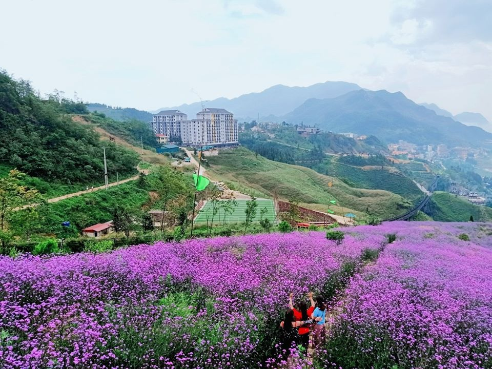 Sapa mùa hè - thiên đường hoa nở khắp núi rừng Tây Bắc 