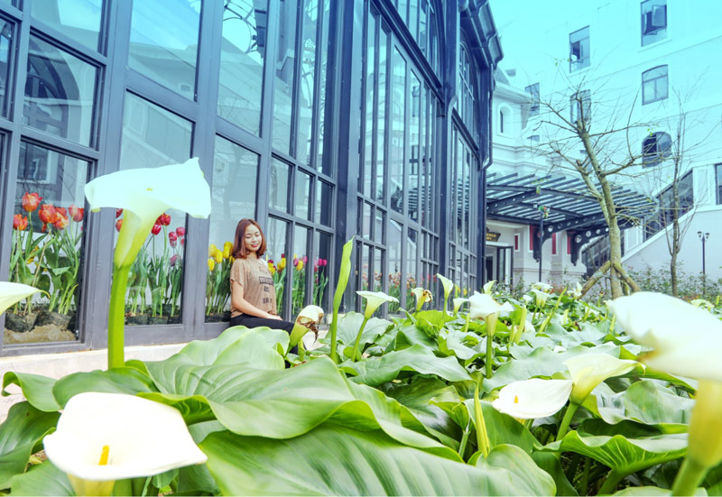 Du khách chụp hình tại vườn hoa Rum bên ngoài ga tàu hỏa Mường Hoa