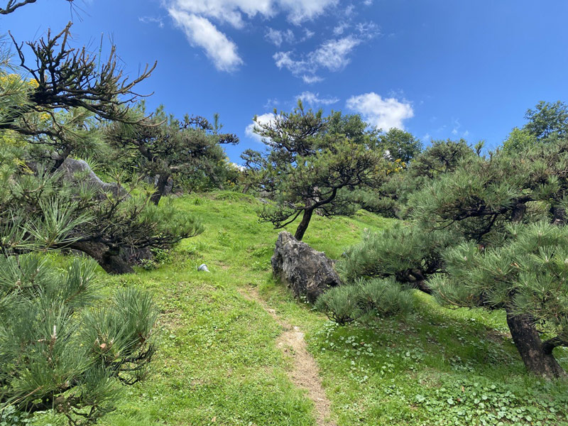 Thăm thú vườn Hắc Tùng gần ga tàu Mường Hoa Sa Pa