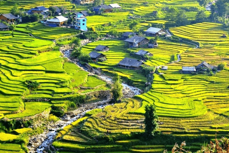 Suối Mường Hoa nhìn từ trên cao