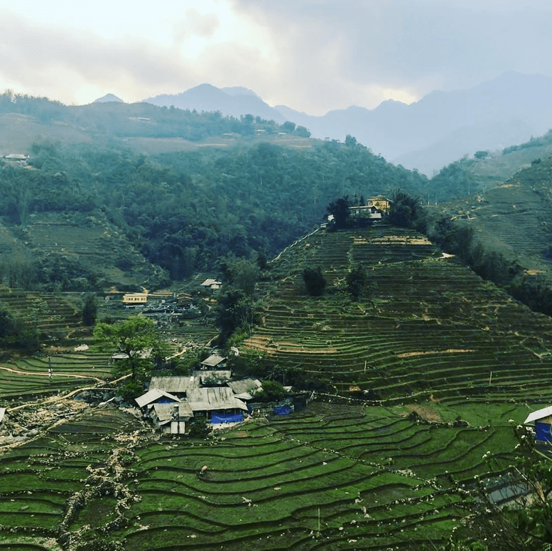 Ruộng bậc thang Hầu Thào uốn lượn nhịp nhàng