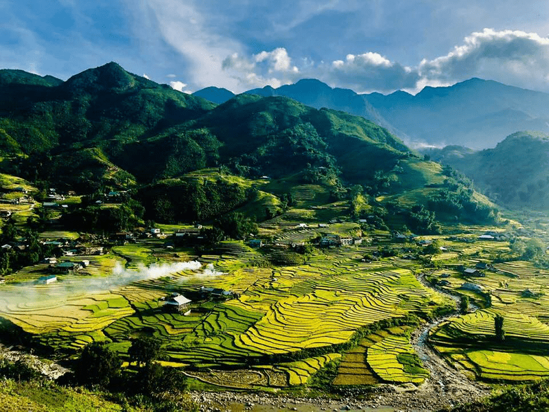 Lúa trổ bông và chuyển dần sang màu vàng rực rỡ mỗi độ thu về