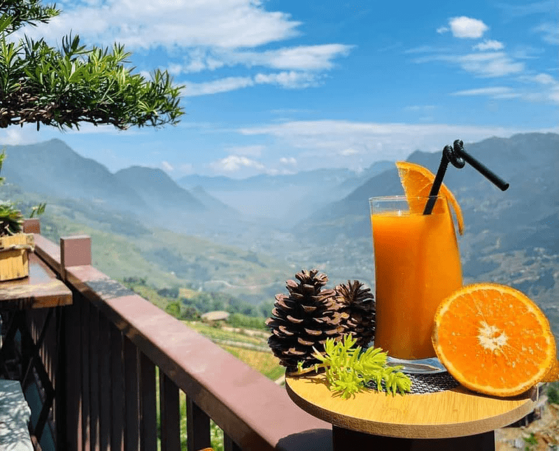 Ly cam ép được trang trí bằng những quả thông khô được phục vụ tại quán