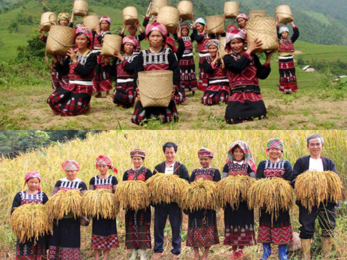 ChatGPT đã nói: le-hoi-tet-com-moi-la-diem-nhan-cua-le-hoi-sa-pa
