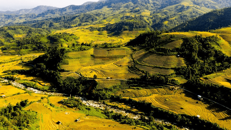 Bản Nậm Cang là tọa độ “săn” lúa lý tưởng