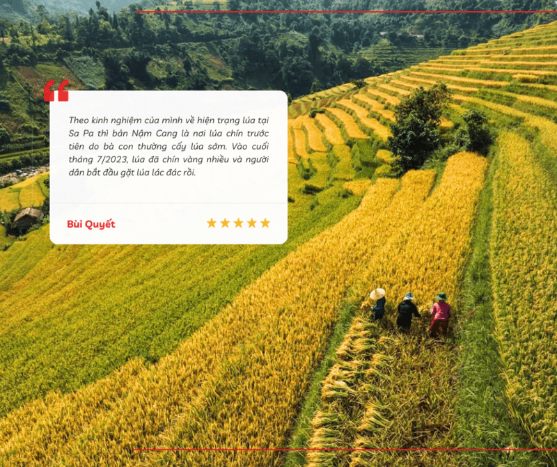 Du khách để lại kinh nghiệm về thời điểm lúa chín tại bản Nậm Cang Sapa