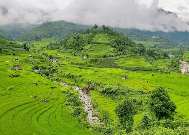 Xã Nậm Cang Sapa vào mùa lúa đang thì con gái