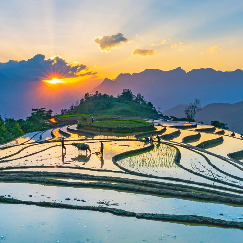 Chiều hoàng hôn tô điểm cho những thửa ruộng ngập nước