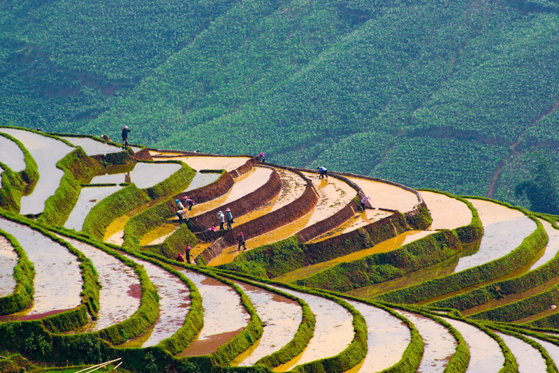 Bờ ruộng bậc thang truyền dẫn nước từ cao xuống thấp