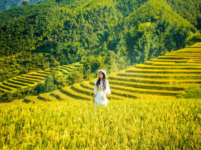 Du khách nữ mặc trang phục vintage thả dáng giữa cánh đồng