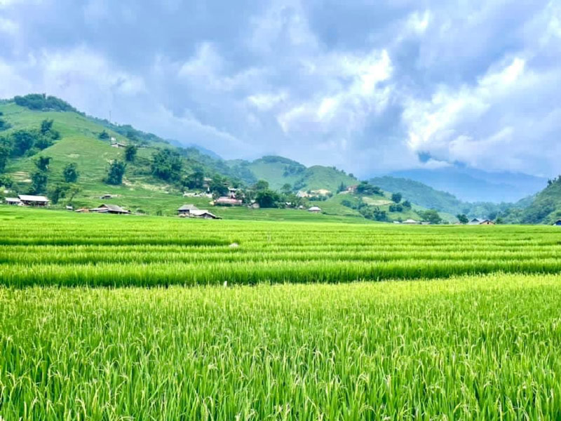 Những nấc thang dẫn lên bầu trời trong xanh