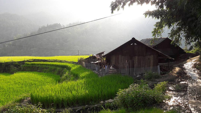 Dãy nhà cũ kỹ trên thửa ruộng bậc thang bản Sín Chải