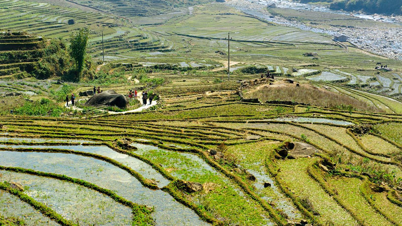 Những tảng đá cổ nằm giữa thửa ruộng mạ non mùa nước đổ