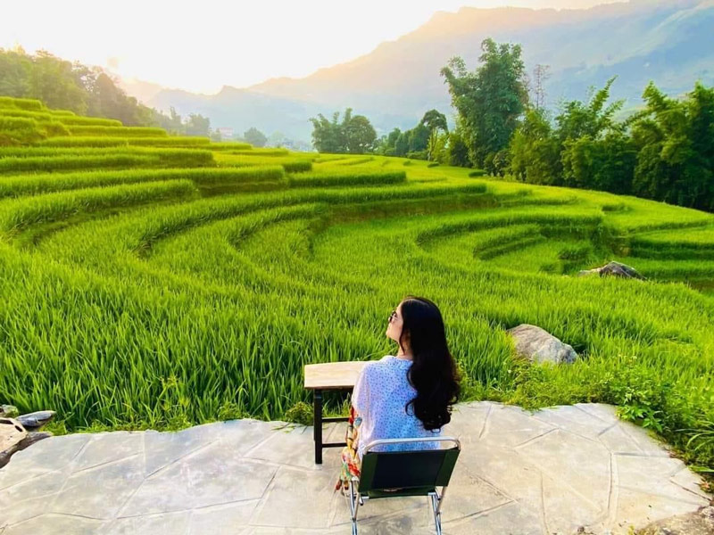 Du khách say sưa ngắm nhìn ruộng bậc thang Tả Van vào mùa lúa thì