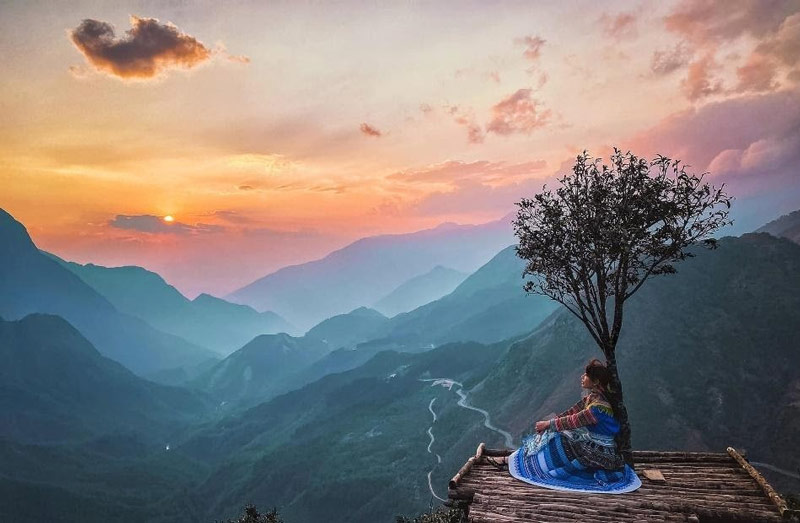 Tựa lưng vào cây cô đơn để ngắm nhìn hoàng hôn 