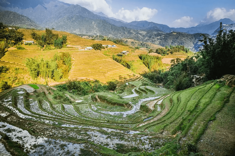 Thung lũng Mường Hoa là một trong những cảnh đẹp Sa Pa mùa hè không thể bỏ lỡ