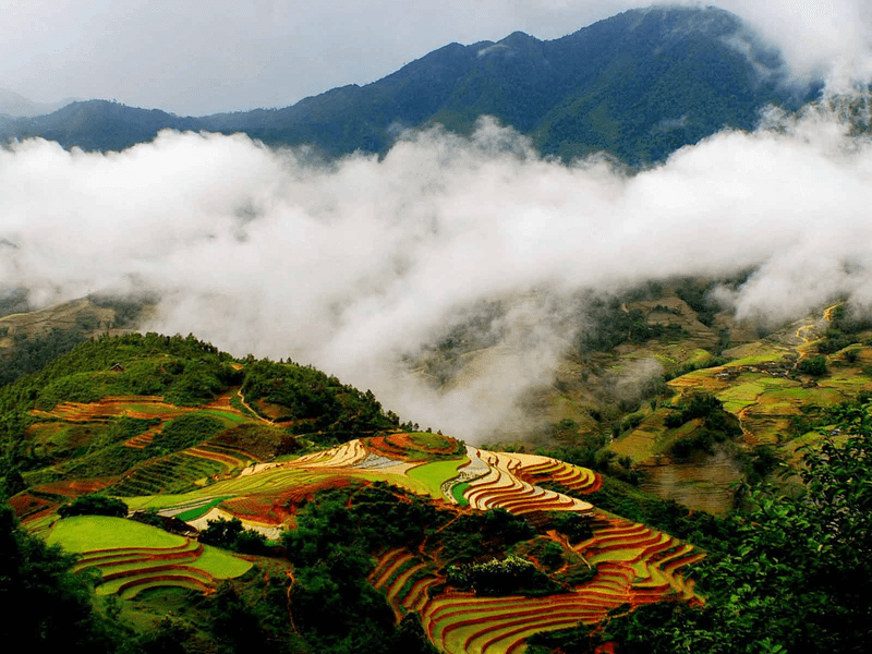 Cảnh đẹp Sa Pa mùa hè gắn liền với núi rừng Tây Bắc tuyệt đẹp, tràn đầy sức sống