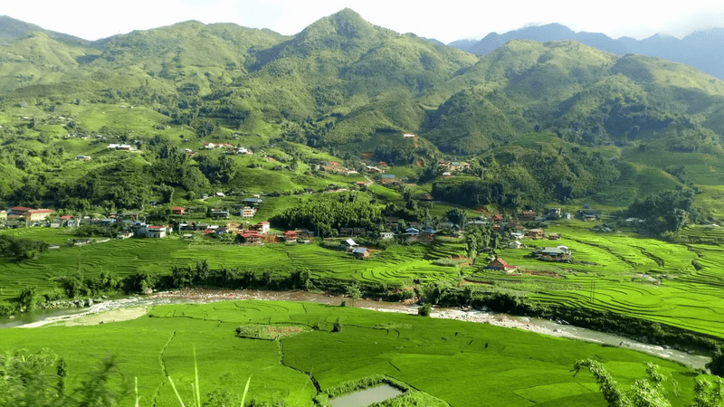 Mùa hè Sa Pa không thể thiếu khung cảnh đẹp nên thơ với cánh đồng, núi cao và dòng suối nhỏ chảy qua bản làng