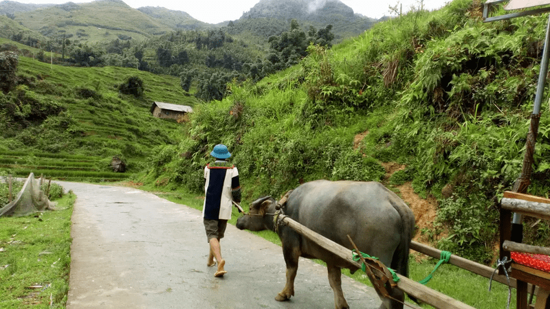 Cuộc sống thường nhật của người dân tại bản Tả Van