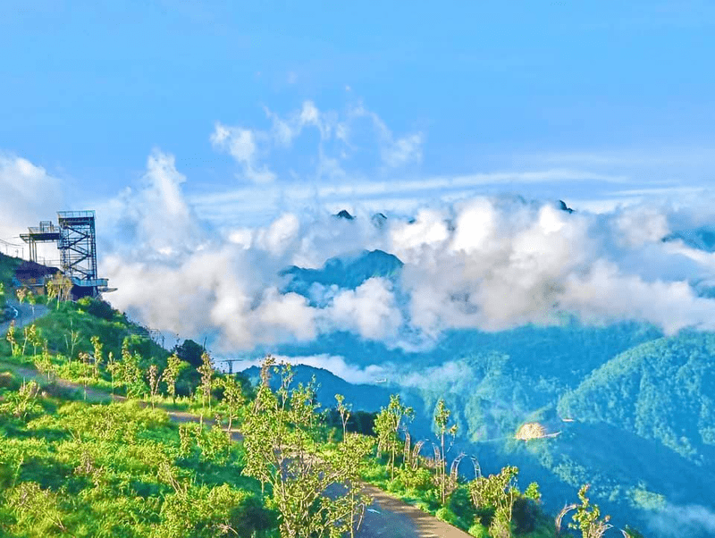 Nắng vàng chiếu xuống làm sáng bừng khung cảnh núi rừng bên cạnh Cầu kính Rồng Mây ngày hè