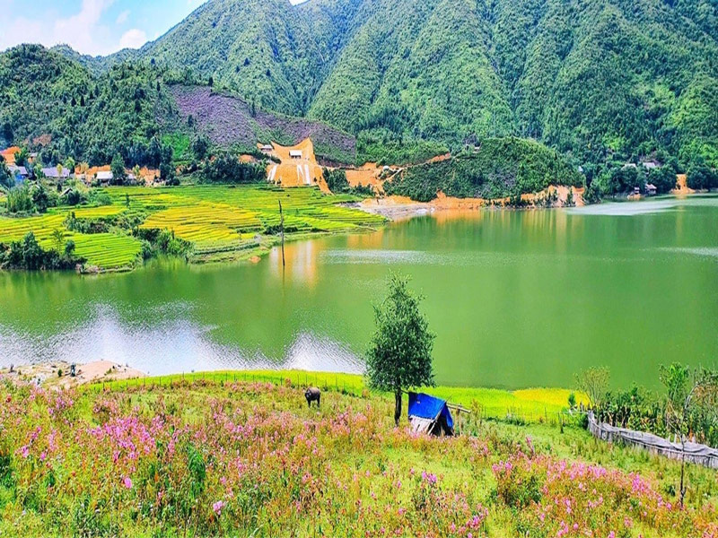 Vạt hoa mua ánh tím bên hồ Séo Mý Tỷ trong xanh 